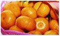 mandarin 2