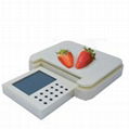 Electronic Kitchen Scale 1