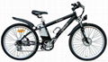 fashion electric bicycle e bike 1