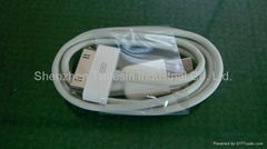 New Lightning 8 Pin Sync Data and Charging Cable For iPhone 5 5G and iPod to USB