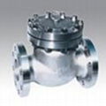 Swing Check Valve 1