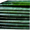 Bamboo Pole 2