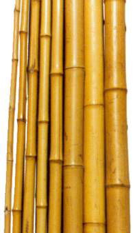 Bamboo Pole 3