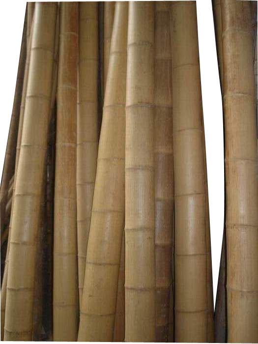 Bamboo Pole 4