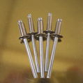 Stainless Steel Blind Rivet