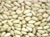 Blanched peanut kernels 1