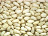 Blanched peanut kernels