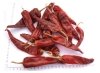 Chilli Products 1
