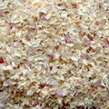 onion granules 1