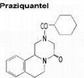 praziquantel 1