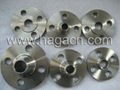 stainless steel flange