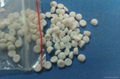 Calcium Carbonate masterbatch 1