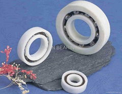 Plastic Bearing