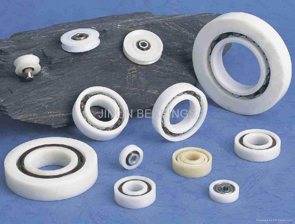 Plastic Bearing 2