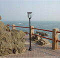 Solar Street Light (SSL-01) 1