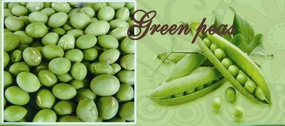 Canned Green Pea 2