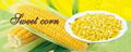 Canned Sweet Corn 2