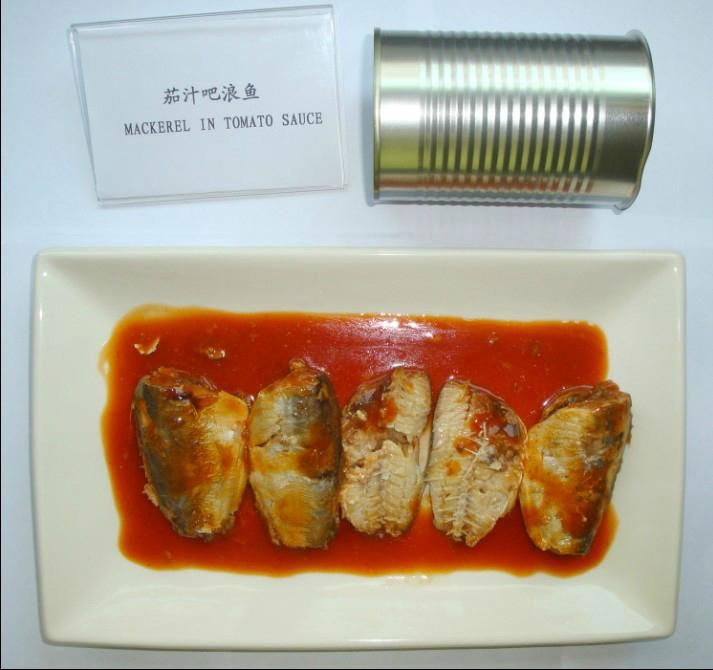 Canned Mackerel in Tomato Sauce