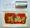 Canned Mackerel in Tomato Sauce