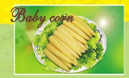 Canned Baby Corn 2