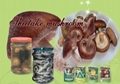 Canned  Shiitake Mushroom