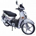 Gas Scooter(RY110) 1
