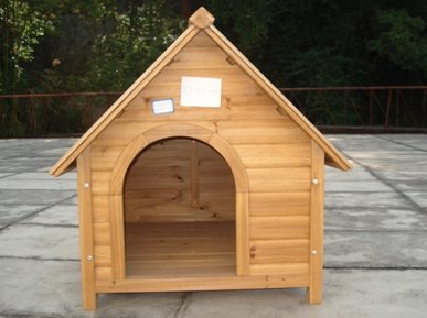 Dog house 4