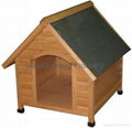 Dog house 5