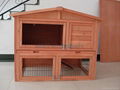 rabbit house