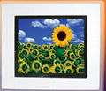 10.4 inch digital photo frame 1