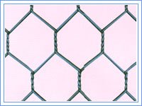 PVC hexagonal iron wire netting