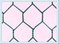 PVC hexagonal iron wire netting