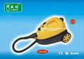 Steam Cleaner 1