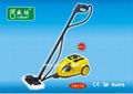 Steam Cleaner 1