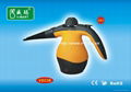 Steam Cleaner