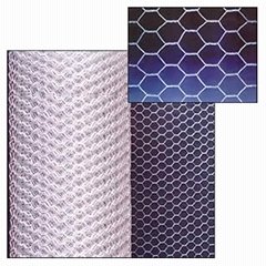 Hexagonal  Wire Netting