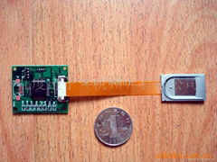 Capacitive fingerprint identification module