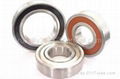 deep groove ball bearing 5