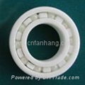 ceramic bearing 1