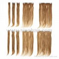 clip in hair extension