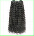 100% human hair products---Bebe Curl 1