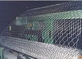 Hexagonal Wire Mesh 2