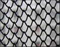 China Link Wire Mesh 2