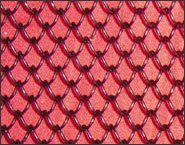 China Link Wire Mesh 5