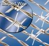 Barbed Iron Wire 2