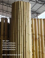 Bamboo fence