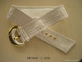 WOMEN'S BELT