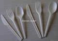 Biodegradable Cutlery 1