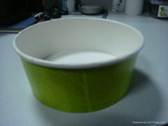 Paper Salad Bowl