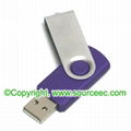 USB Flash Memory